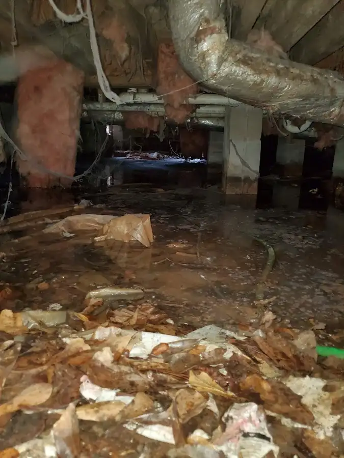 Crawl space flood assessment for Leak Detection & Repair in Old Forge